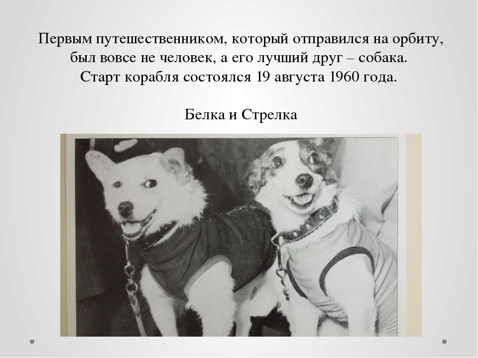 Мини-проект в старшей группе "Космос"