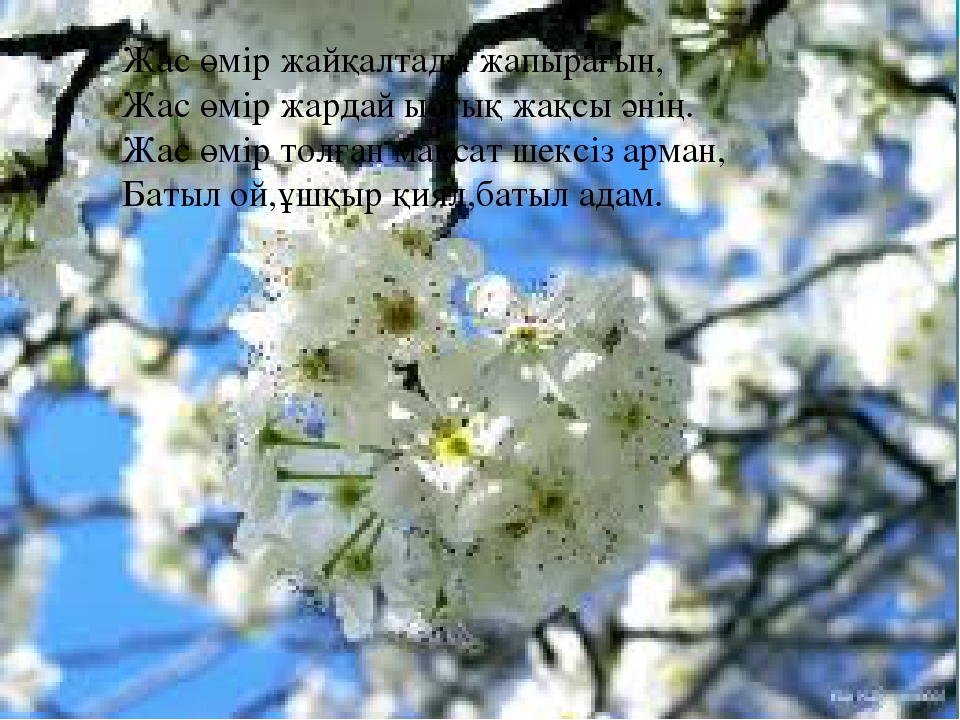 Презентация "Өмір, қымбатсың маған!"