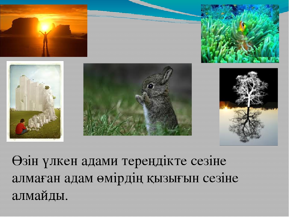 Презентация "Өмір, қымбатсың маған!"