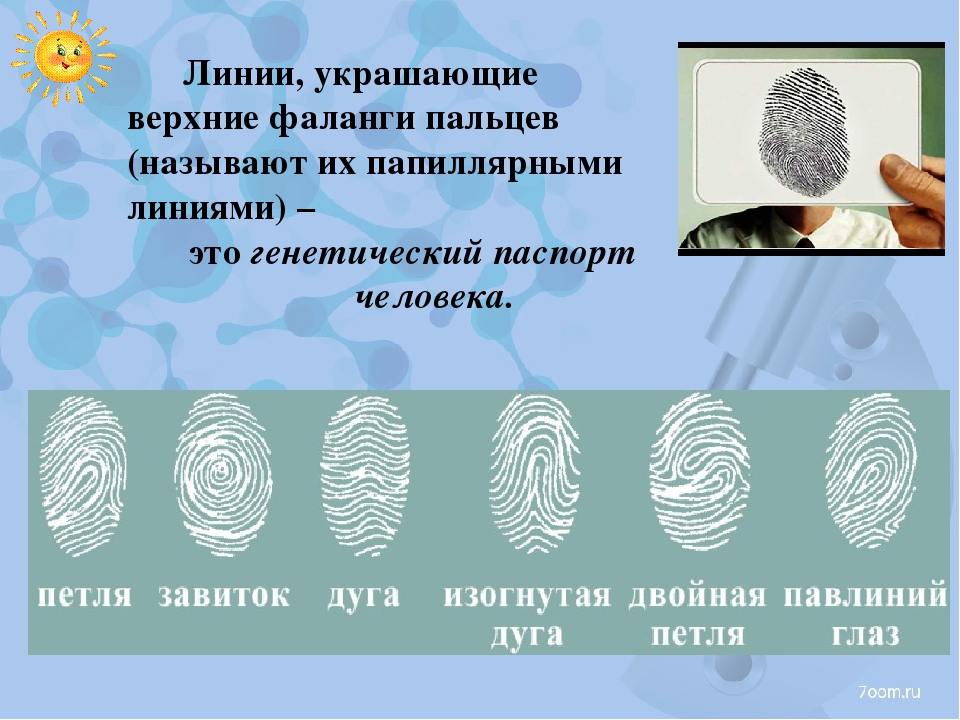 Презентация по исследовательской деятельности в ДОУ