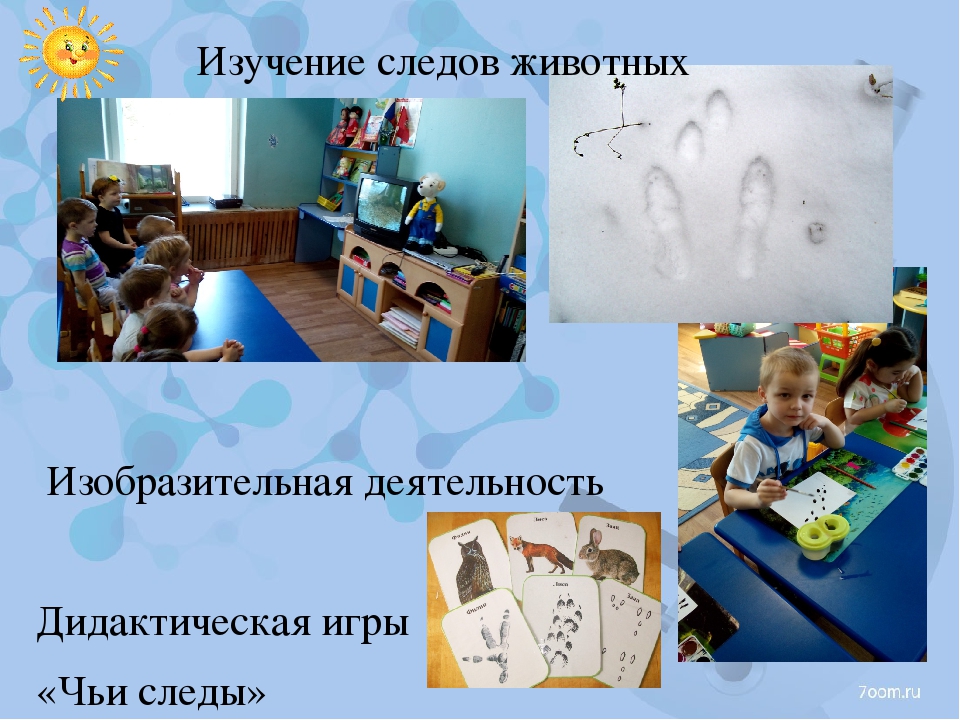 Презентация по исследовательской деятельности в ДОУ