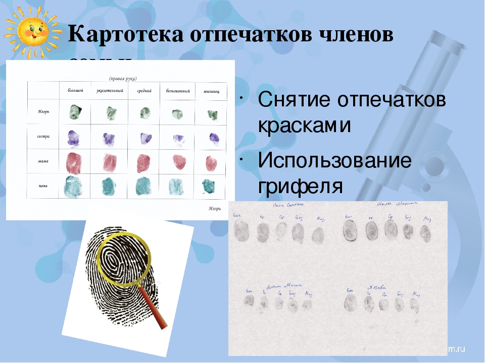 Презентация по исследовательской деятельности в ДОУ