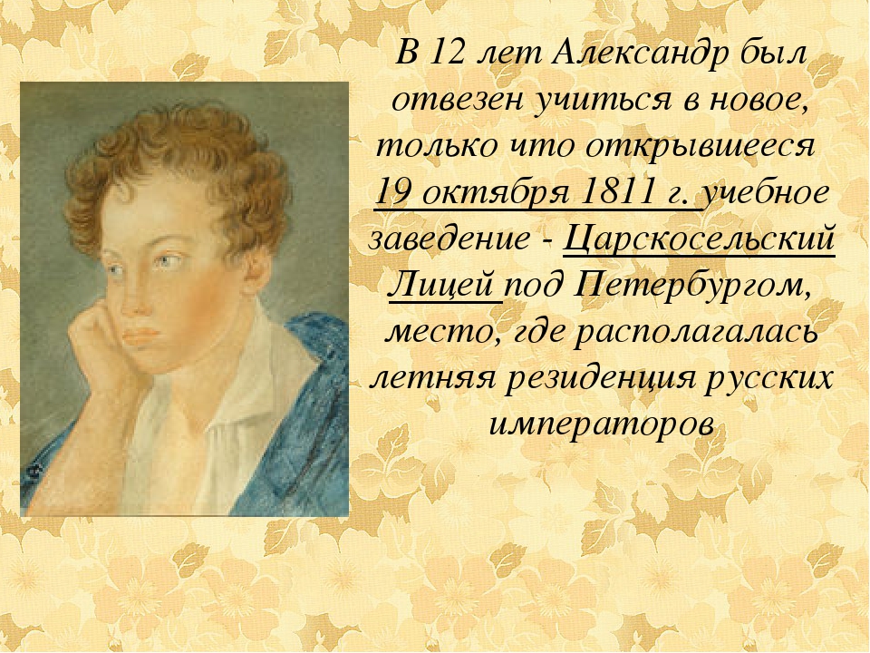 Презентация " История А.С.Пушкина"