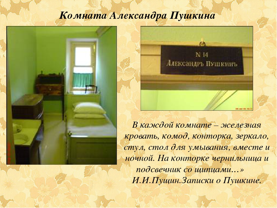 Презентация " История А.С.Пушкина"