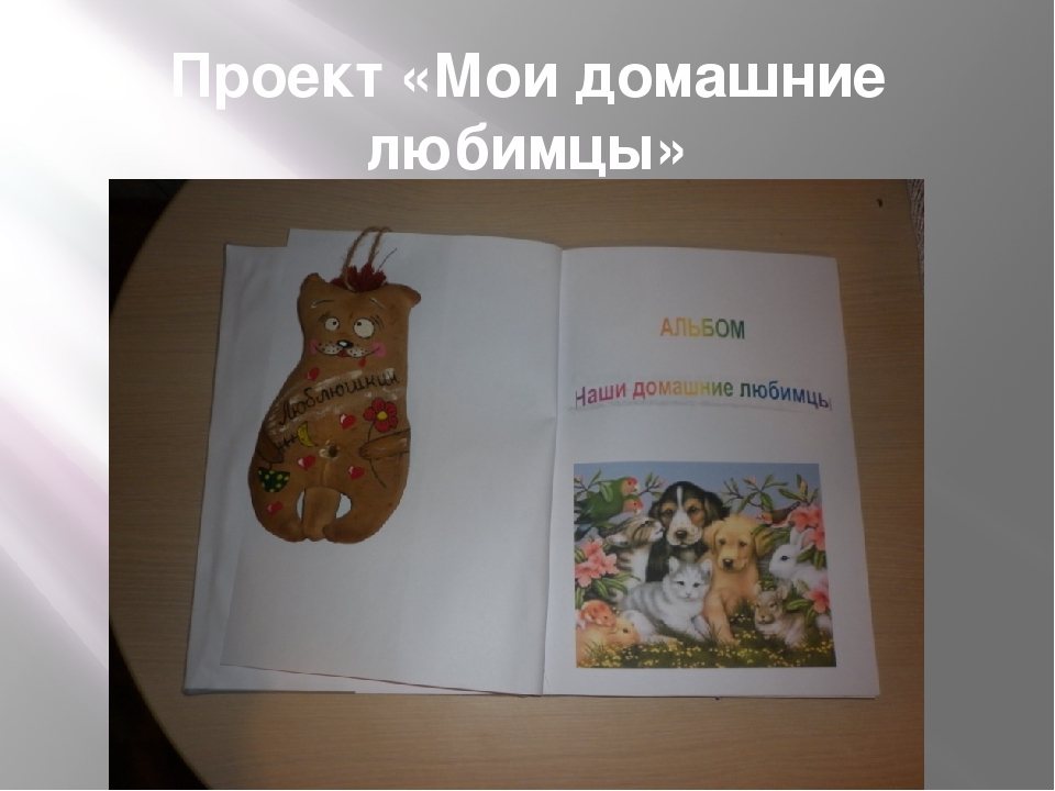 Фотоотчёт по работе с родителями по программе "Сила в единстве"
