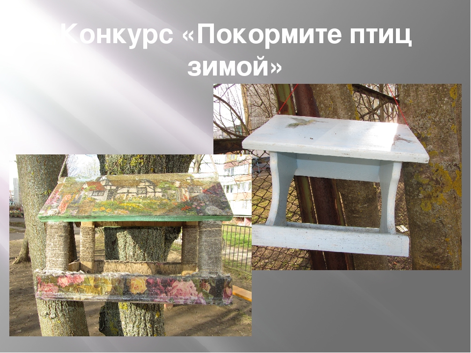 Фотоотчёт по работе с родителями по программе "Сила в единстве"