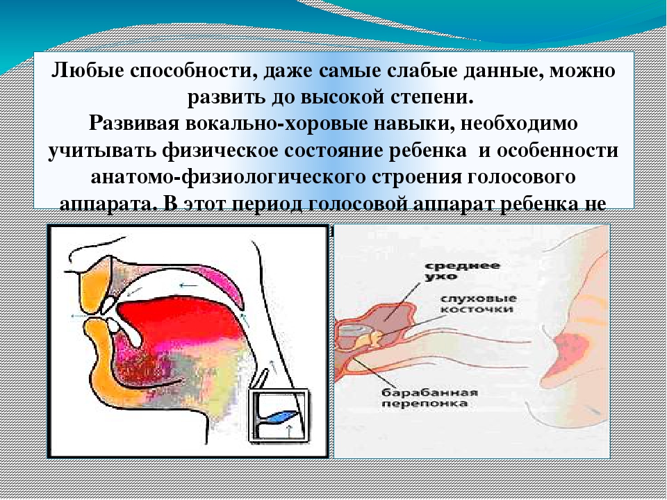 Презентация " Вокально - хоровая работа в дет.саду"