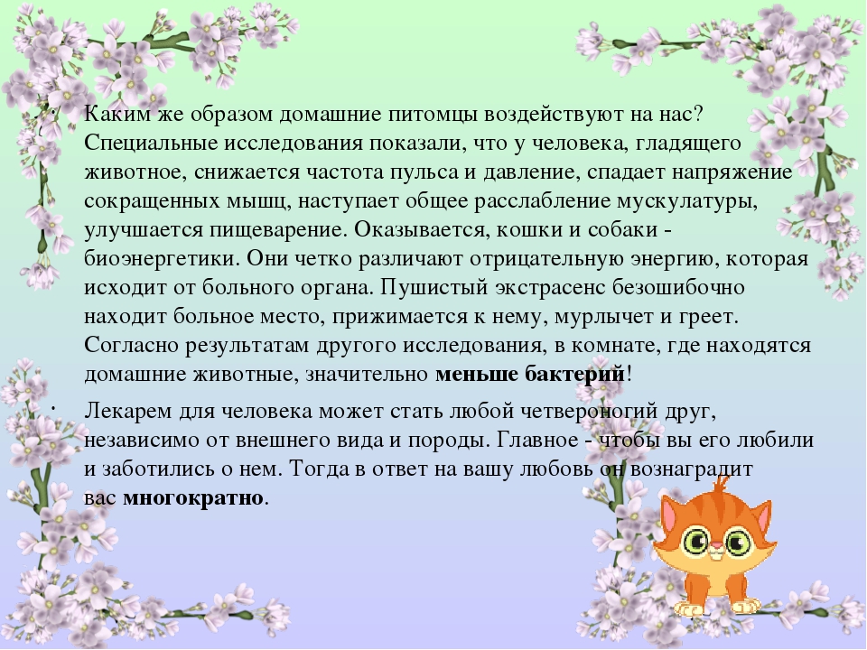 Совместный творческий проект на тему: «Наши меньшие друзья»