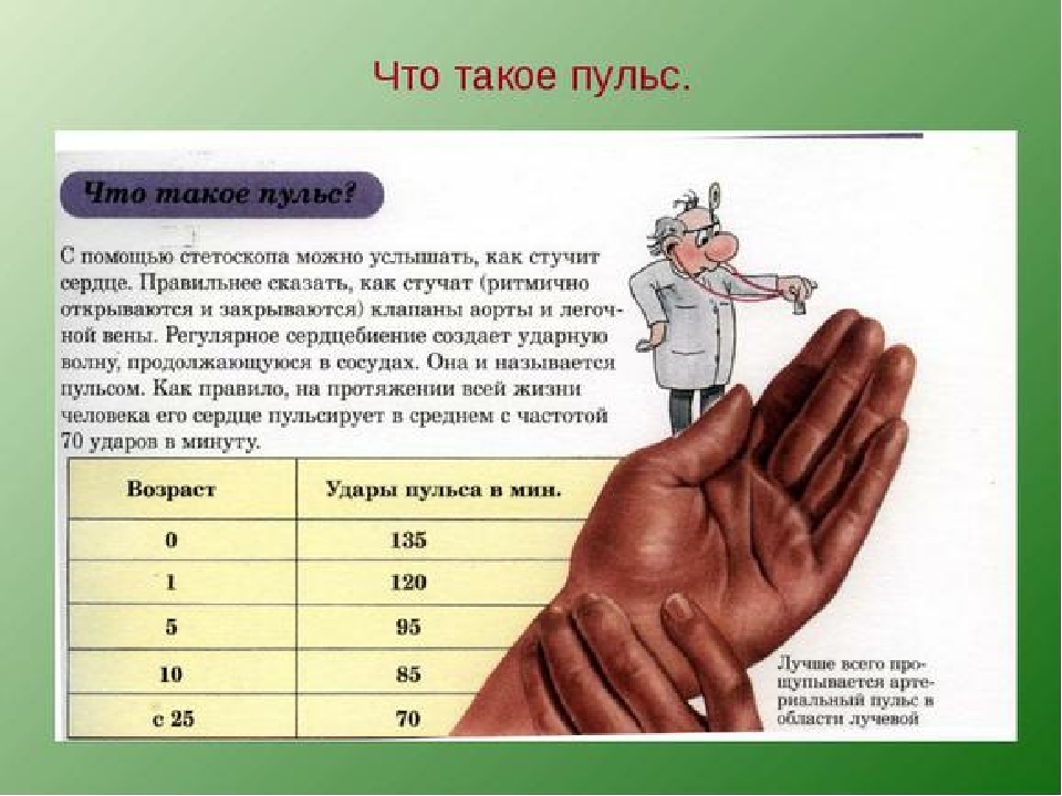 Презентация по спорту " Лыжи".