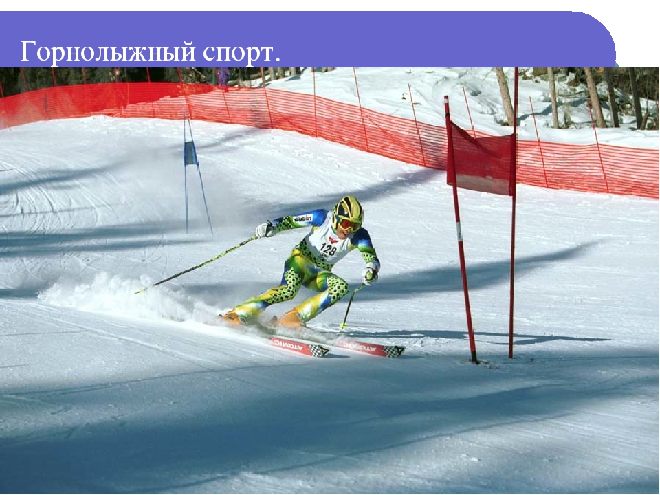 Презентация по спорту " Лыжи".
