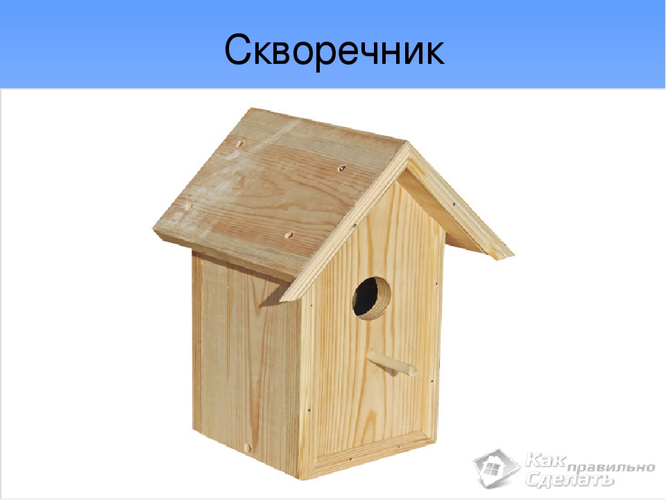 Презентация по экологии" Перелетные птицы".