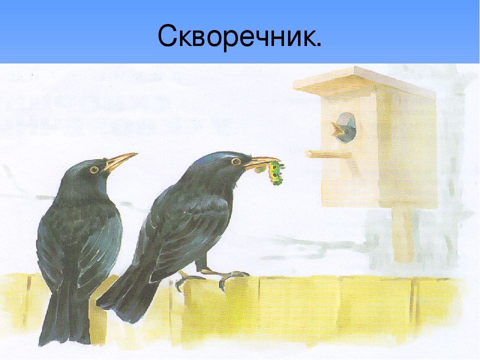 Презентация по экологии" Перелетные птицы".