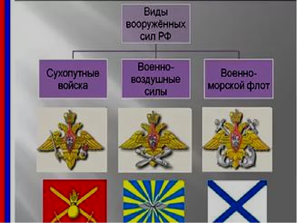 Презентация по окружающему миру