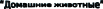 Shape1