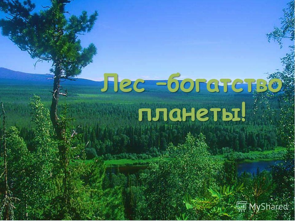 Презентация к конспекту "Книга знаний"