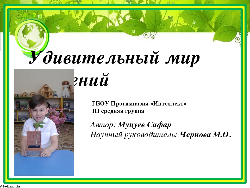 Презентация к проекту "Удивительный мир растений"