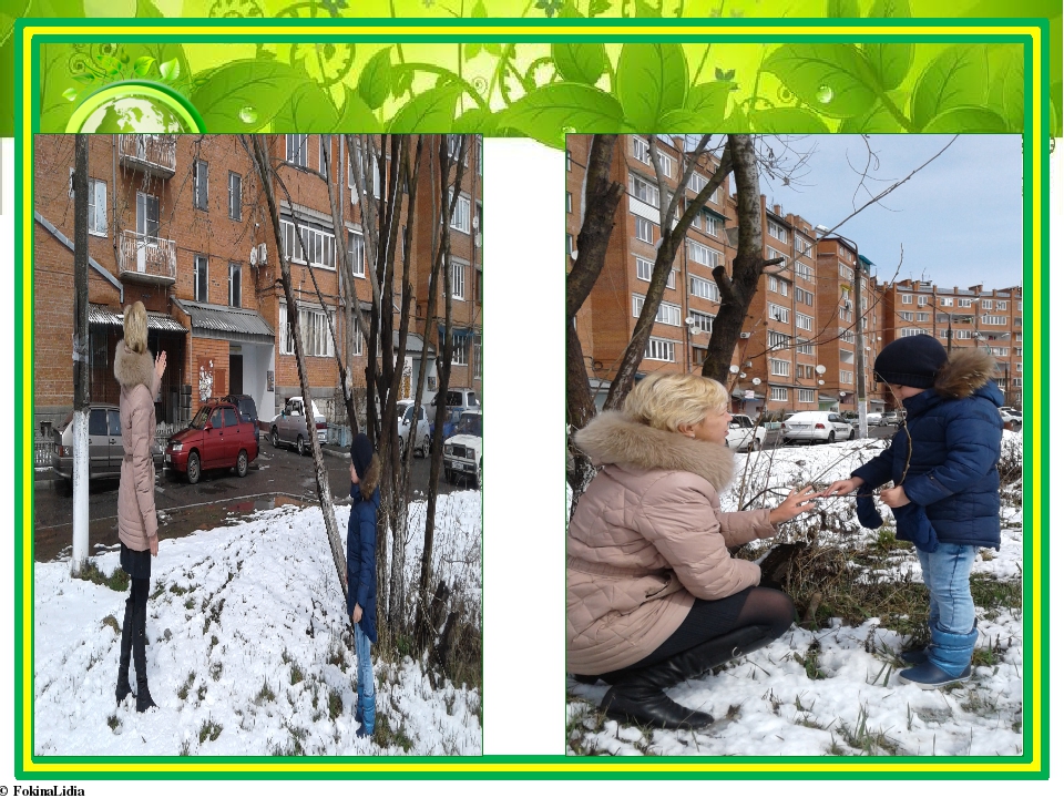 Презентация к проекту "Удивительный мир растений"