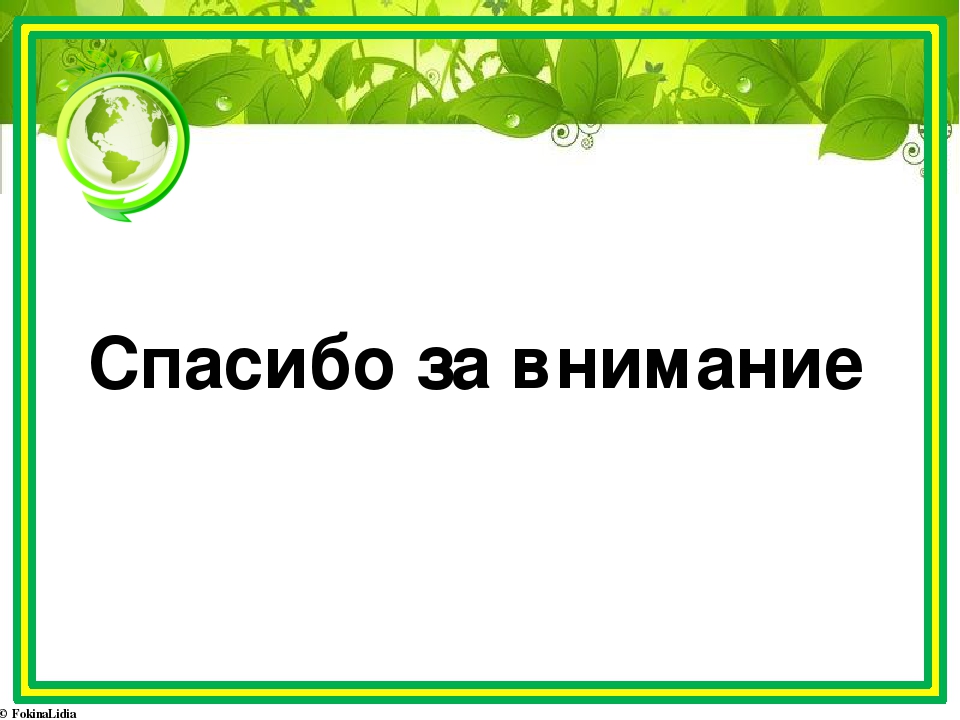 Презентация к проекту "Удивительный мир растений"