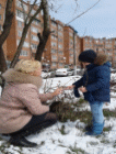 Содержимое 5