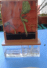 20170328_175109.jpg