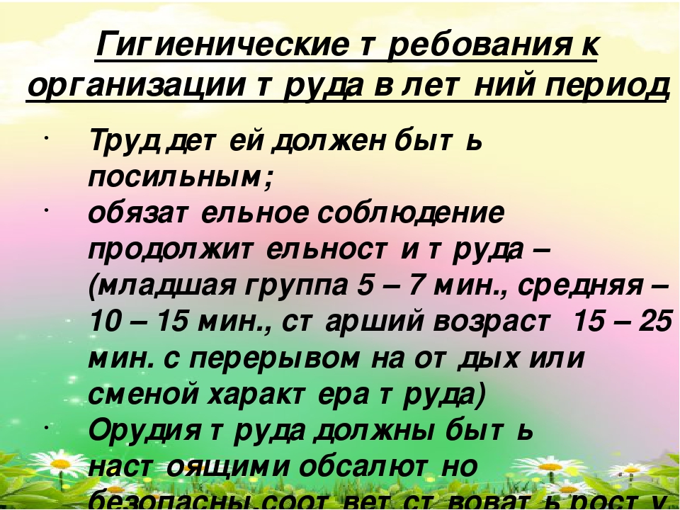 Презентация"Трудовое воспитание в летний период в ДОУ"