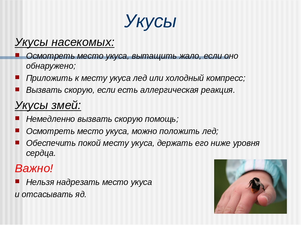 Презентация на тему "Алгоритм действий при несчастном случае в ДОУ"