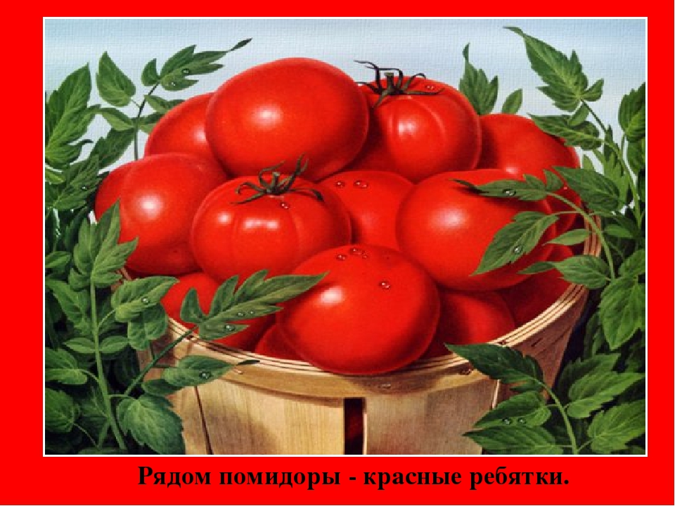 Презентация " Цвета Радуги"