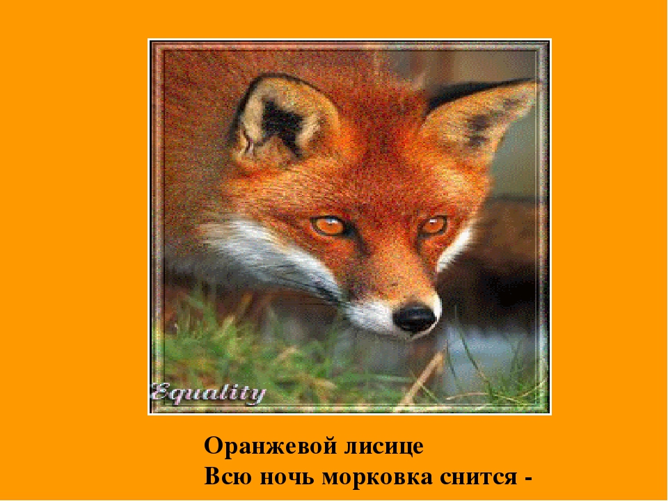 Презентация " Цвета Радуги"