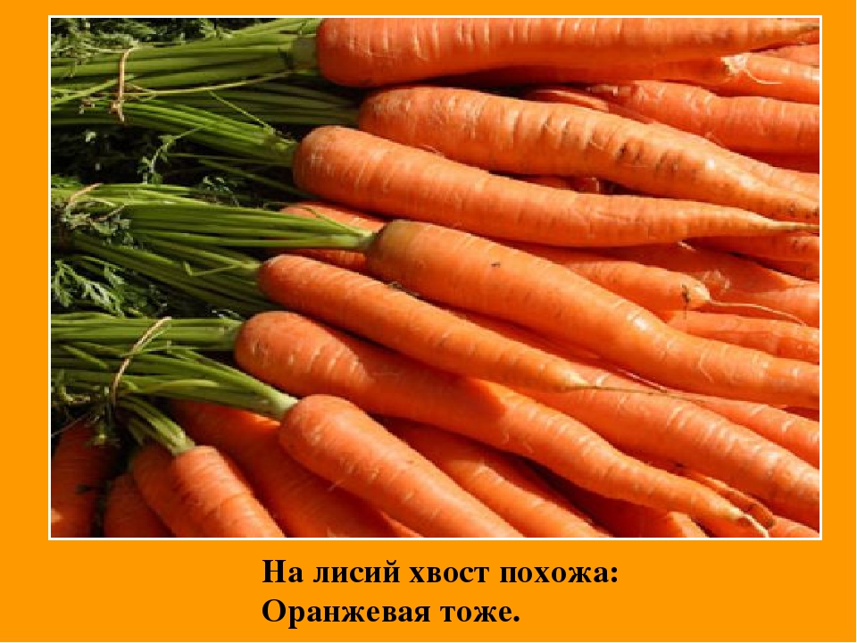 Презентация " Цвета Радуги"