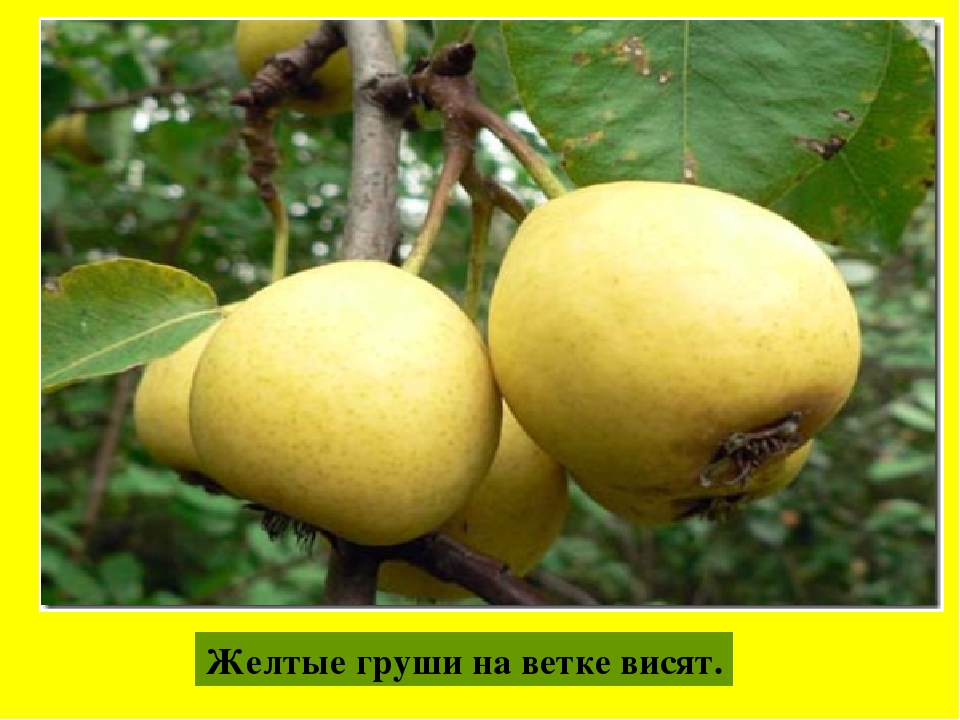 Презентация " Цвета Радуги"