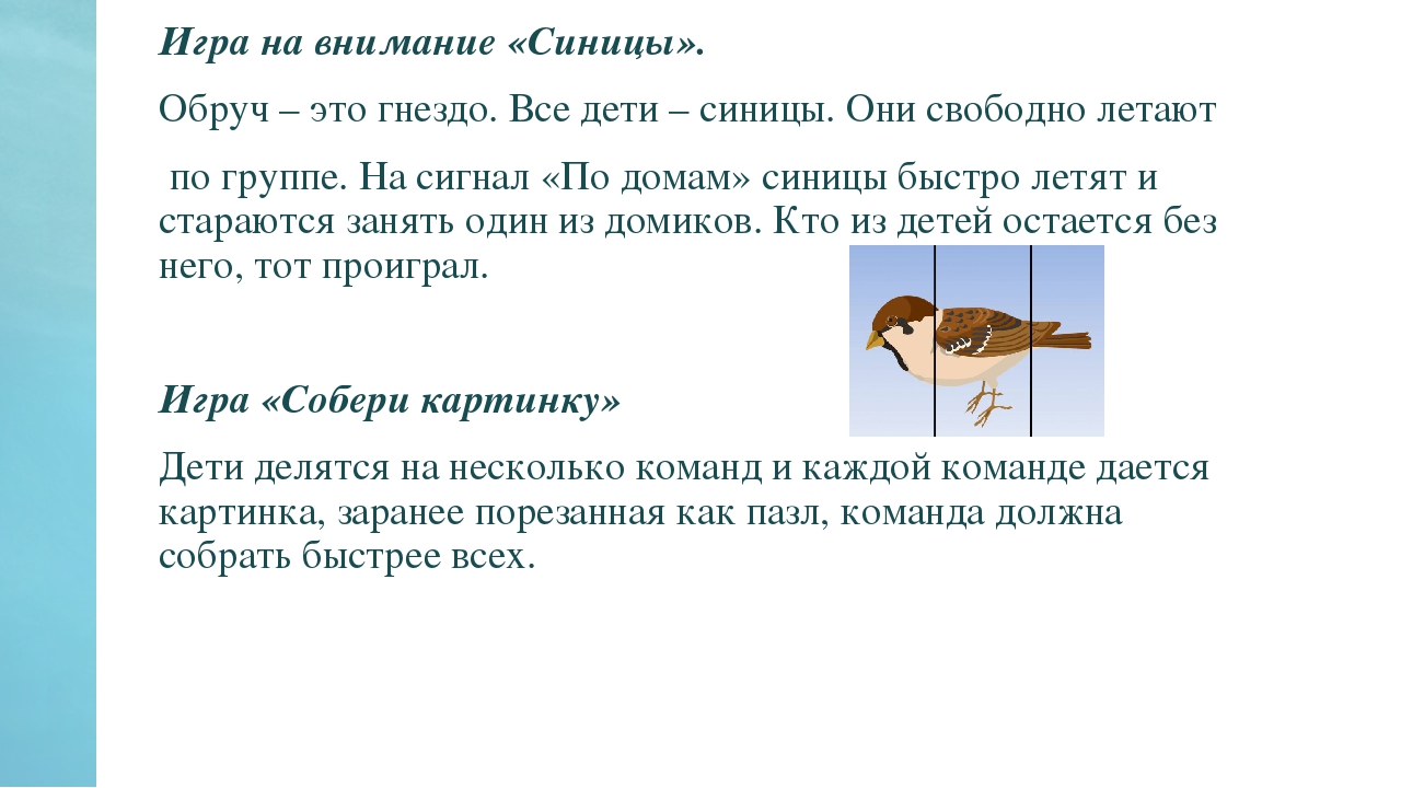 Презентация по окружающему миру на тему "Синичкин день" в средней группе