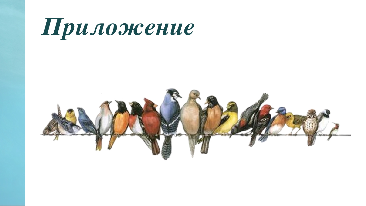 Презентация по окружающему миру на тему "Синичкин день" в средней группе