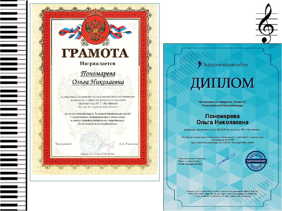 Презентация "Мои достижения за 2016-2017 уч.год"