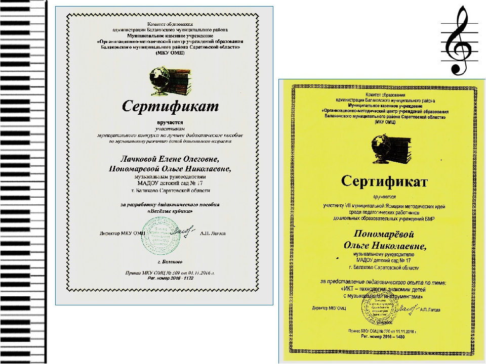 Презентация "Мои достижения за 2016-2017 уч.год"