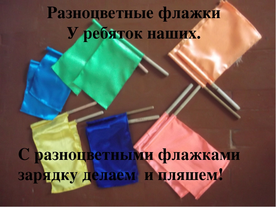 Предметно развивающаа среда спортивного зала по ФГОС