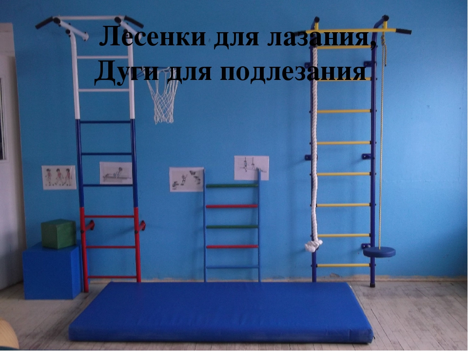 Предметно развивающаа среда спортивного зала по ФГОС