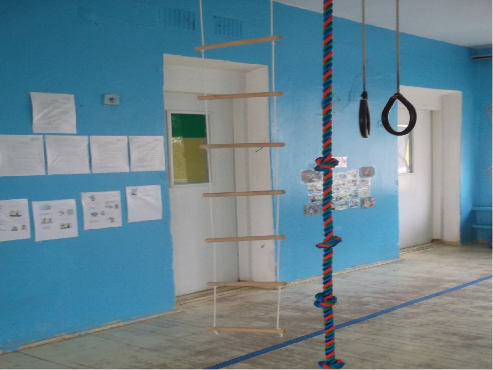 Предметно развивающаа среда спортивного зала по ФГОС