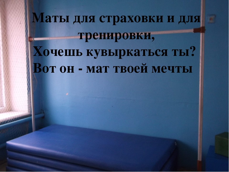 Предметно развивающаа среда спортивного зала по ФГОС
