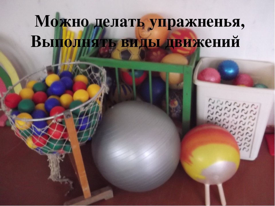 Предметно развивающаа среда спортивного зала по ФГОС