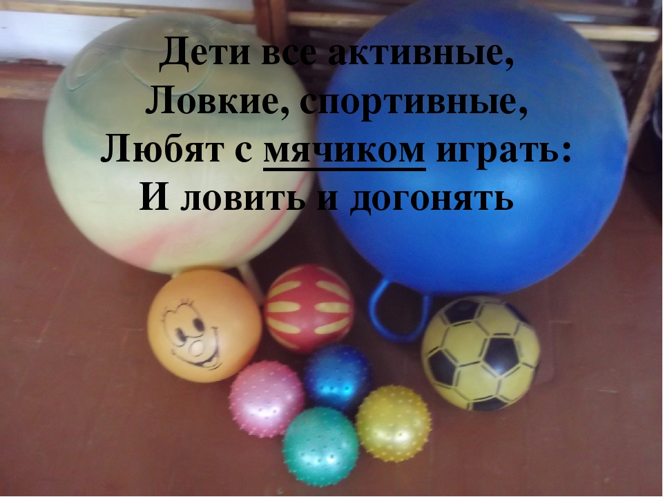 Предметно развивающаа среда спортивного зала по ФГОС