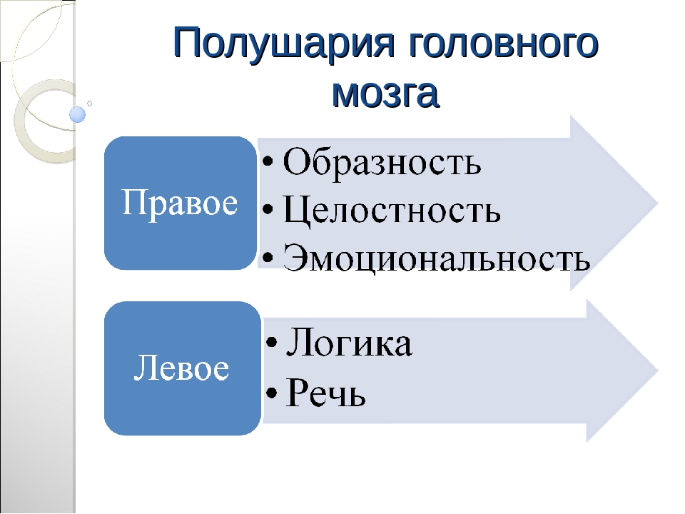 Презентация "Загадки ассиметричного мозга"