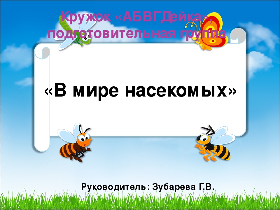 Презентация к НОД "В мире насекомых"