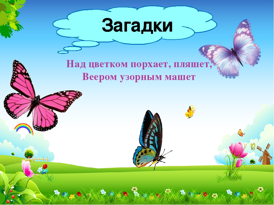 Презентация к НОД "В мире насекомых"