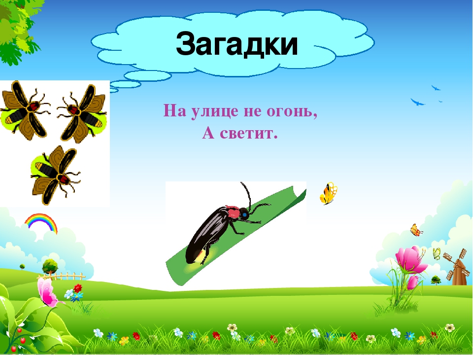 Презентация к НОД "В мире насекомых"