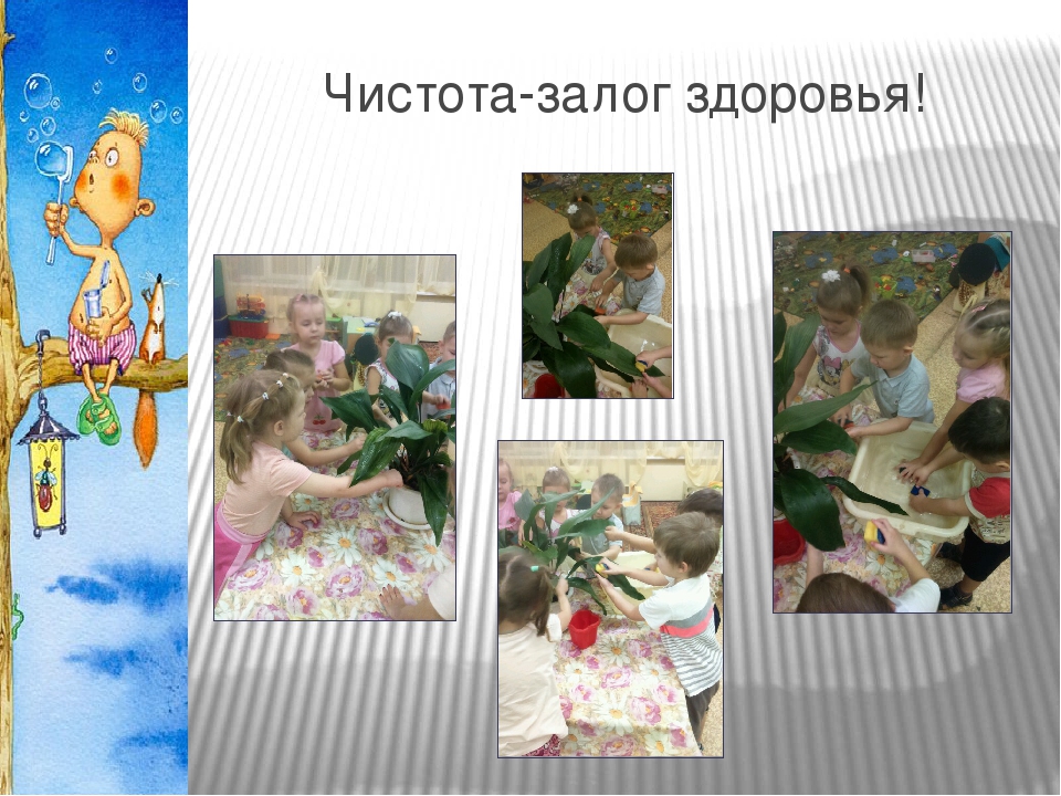 Проектная деятельность в средней группе "Что посеешь, то и пожнёшь"