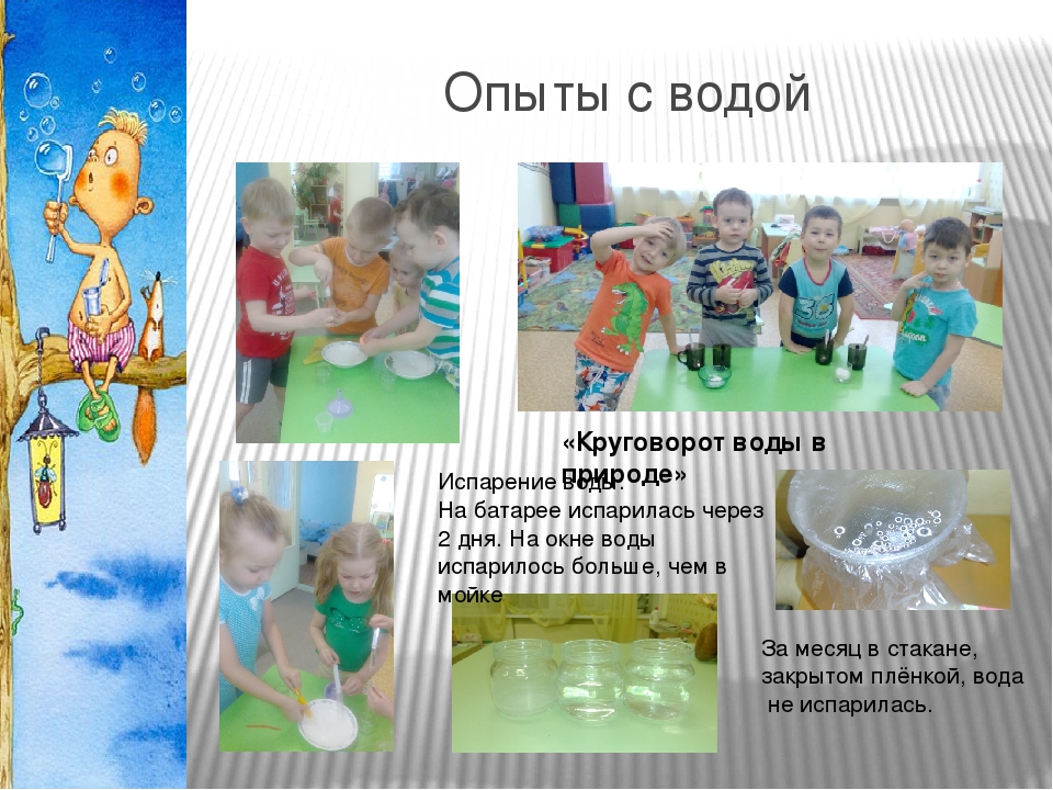 Проектная деятельность в средней группе "Что посеешь, то и пожнёшь"