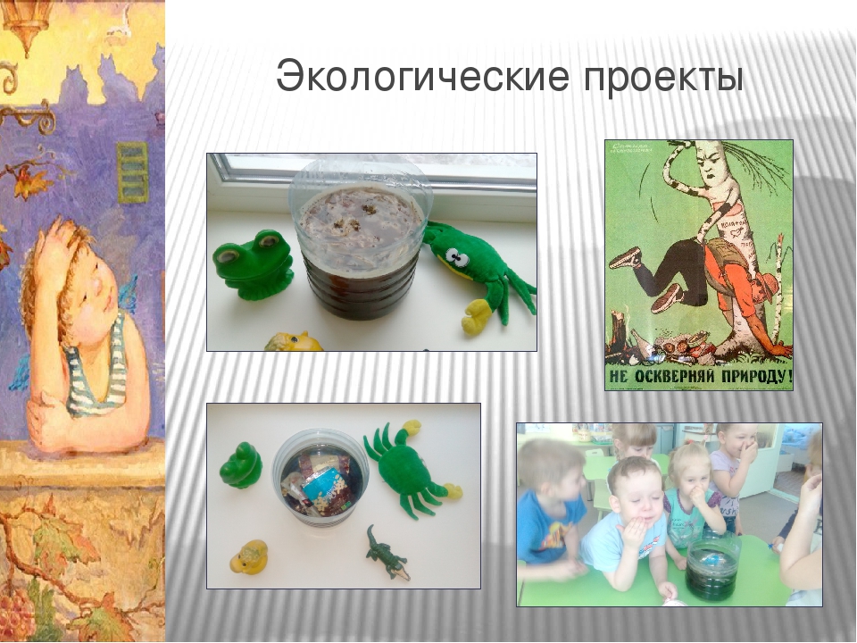 Проектная деятельность в средней группе "Что посеешь, то и пожнёшь"