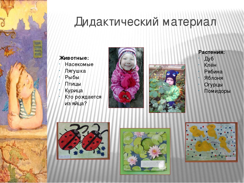 Проектная деятельность в средней группе "Что посеешь, то и пожнёшь"