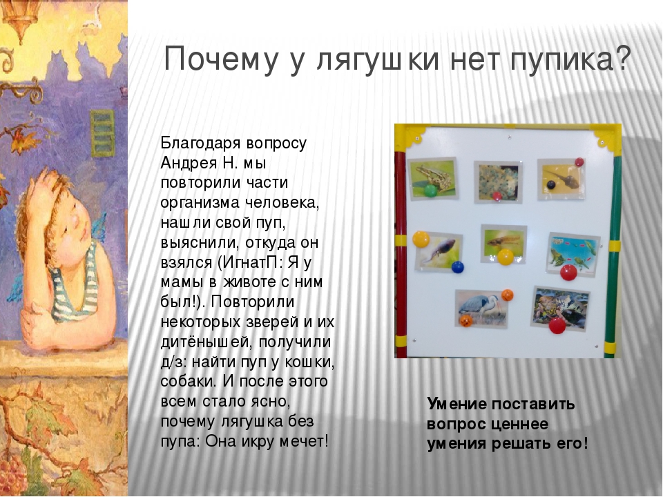Проектная деятельность в средней группе "Что посеешь, то и пожнёшь"