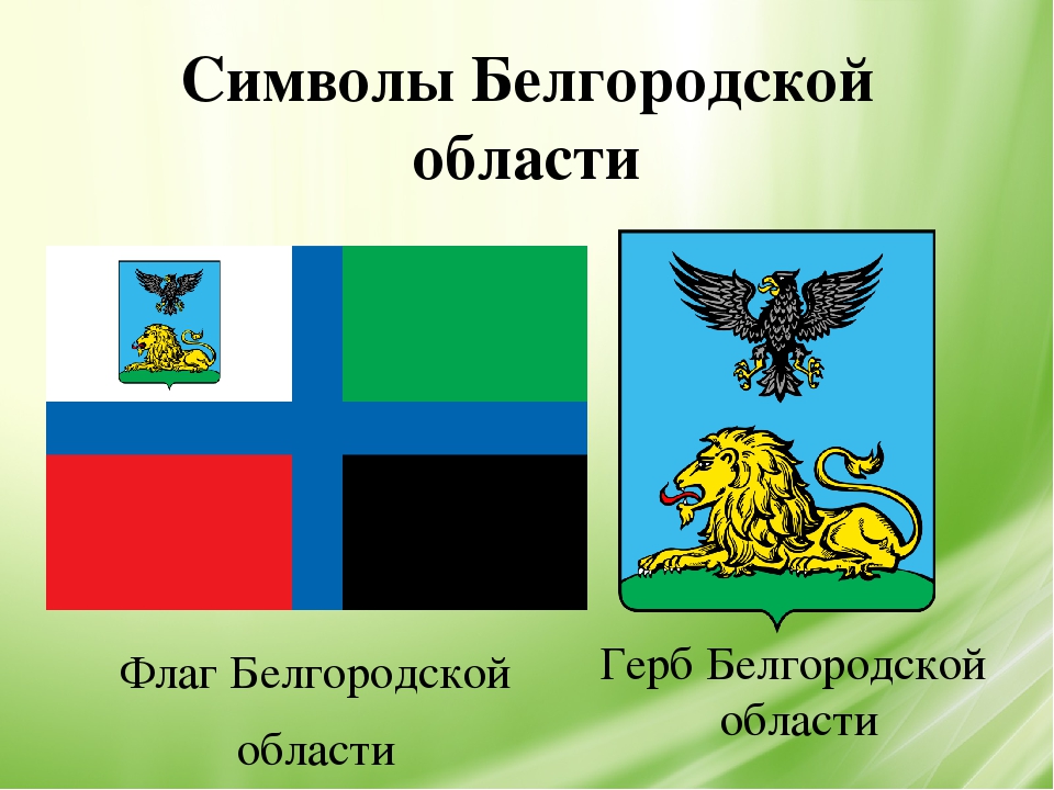 Белгородчина – мой край родной!